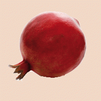 Agriturismo IL MELOGRANO AZ. AGR. "IL MELOGRANO" SS