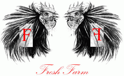 Vendita tavole, attacchi, scarponi, abbigliamento da snowboard FRESH FARM DI GALASSI SAURO
