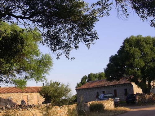 Panoramica: tipica costruzione Gallurese "lo stazzo"