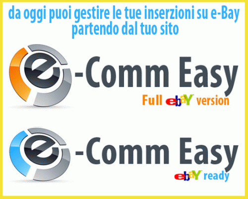 Siti per il commercio elettronico ed E-bay SINTERCOM SRL