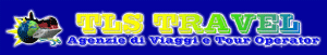 Viaggi, hotel, crociere, biglietteria aerea navale ferroviaria TLS TRAVEL T.O.